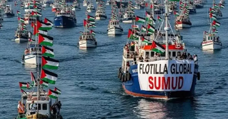 গ্লোবাল সুমুদ ফ্লোটিলার জাহাজ বহর